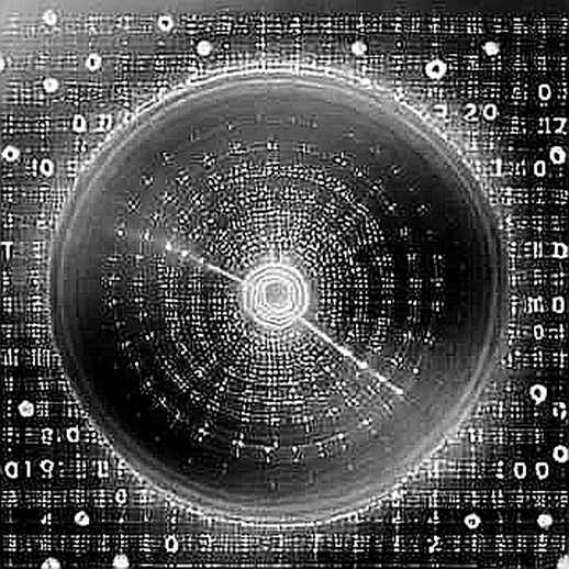 The €65M Rodri Deal Is a Bloody Audit of Crypto's Fundraising Machine