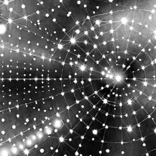 The Empty Report: Why Crypto’s Template-Driven Research Is Collapsing Under Its Own Weight