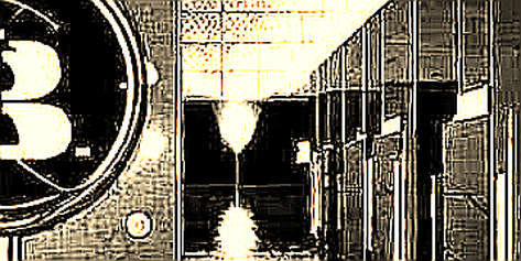 The Flop of Narrative: Arthur Hayes' Return and the Zero-Information Token